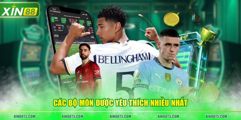 Các bộ môn được yêu thích nhiều nhất