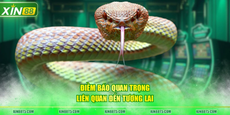 Điềm báo quan trọng liên quan đến tương lai