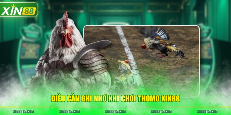 Điều cần ghi nhớ khi chơi Thomo