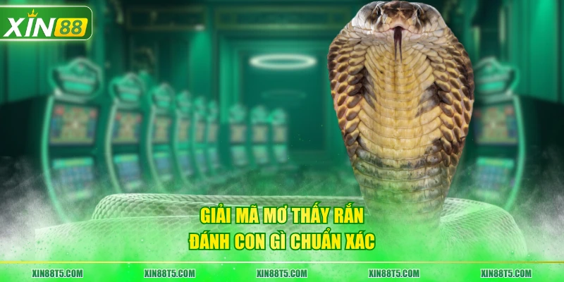 Giải mã mơ thấy rắn đánh con gì chuẩn xác