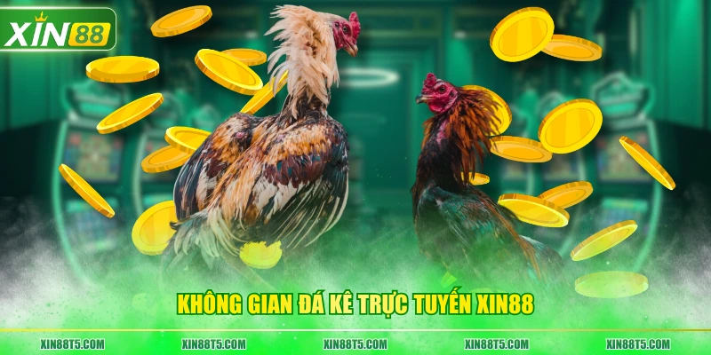 Không gian đá kê trực tuyến siêu hot