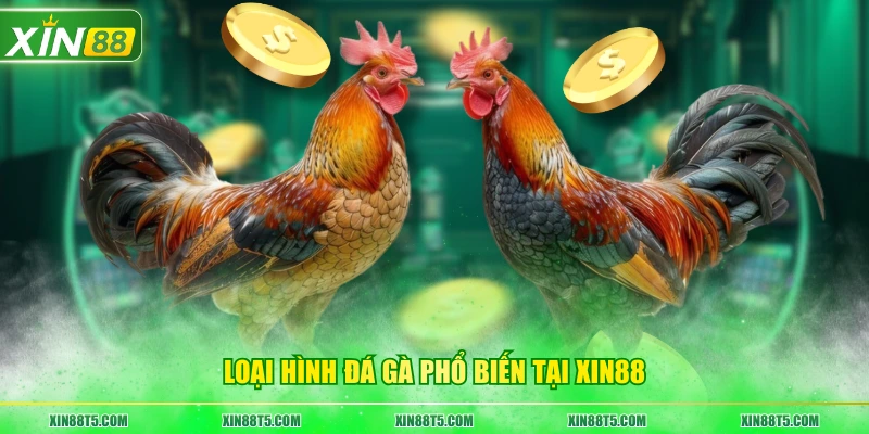 Loại hình đá gà phổ biến tại XIN88