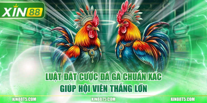 Luật Đặt Cược Đá Gà