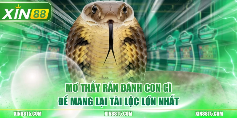 Mơ Thấy Rắn Đánh Con Gì