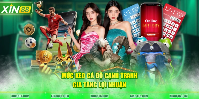 Mức kèo cá độ cạnh tranh gia tăng lợi nhuận