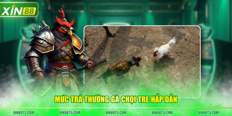Mức trả thưởng gà chọi tre hấp dẫn