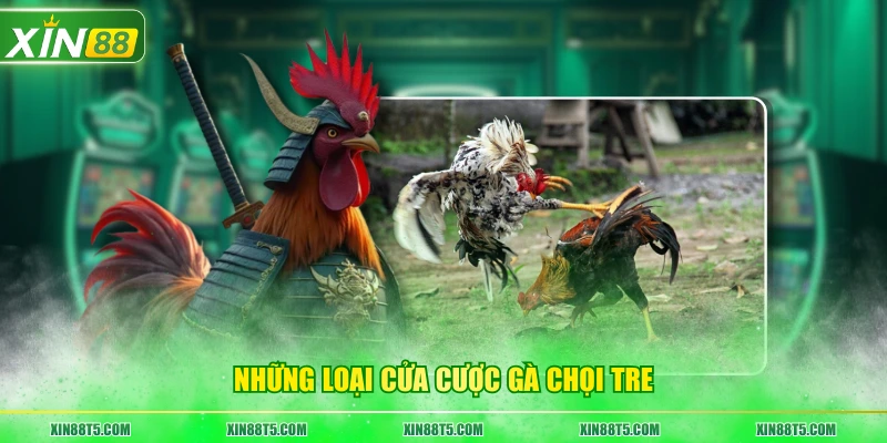 Những loại cửa cược gà chọi tre