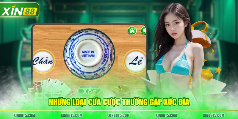 Những loại cửa cược thường gặp Xóc Đĩa