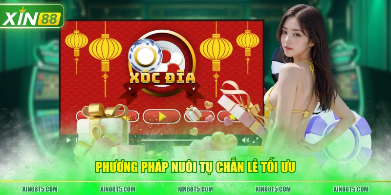Phương pháp nuôi tụ Chẵn Lẻ tối ưu