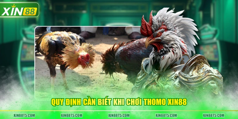 Quy định cần biết khi chơi Thomo XIN88