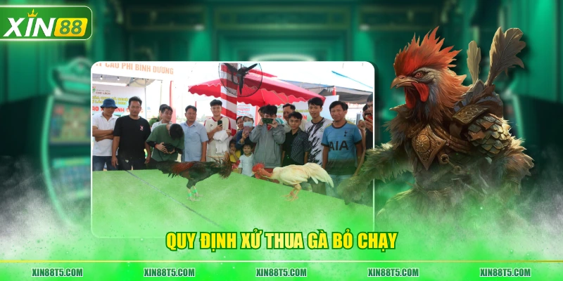 Quy định xử thua gà bỏ chạy