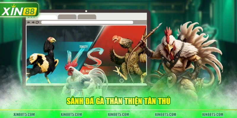 Sảnh đá gà thân thiện tân thủ