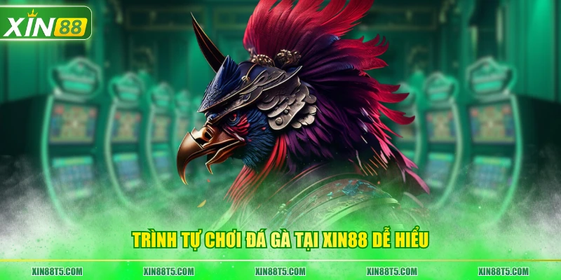 Trình tự chơi đá gà tại sảnh cược dễ hiểu