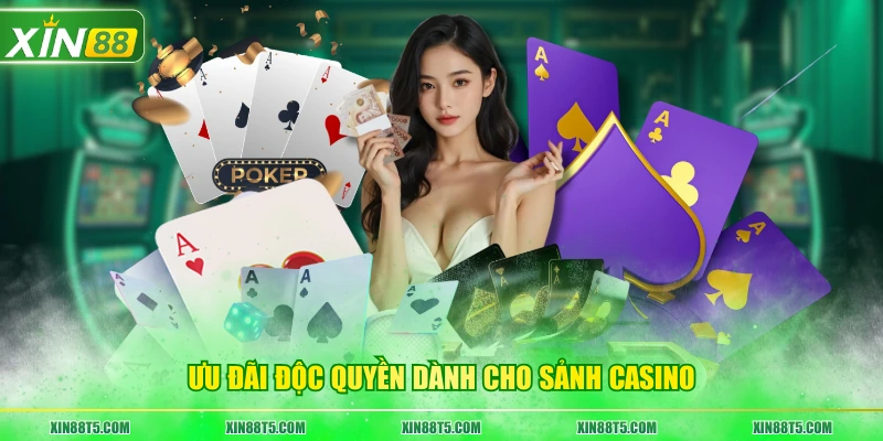 Ưu đãi độc quyền dành cho sảnh casino